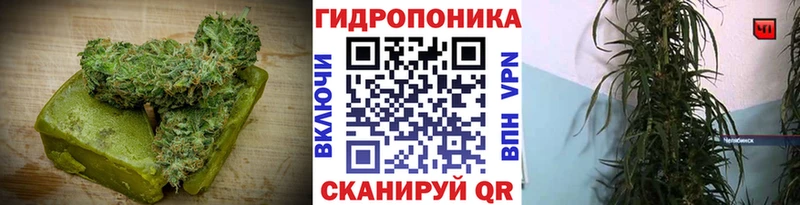 Еда ТГК конопля  сайты даркнета официальный сайт  Невельск 