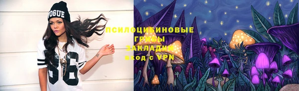 прущая мука Богородицк