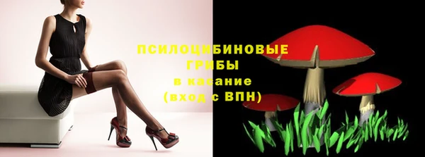 прущая мука Богородицк