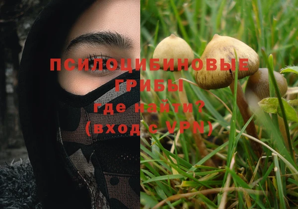 прущая мука Богородицк