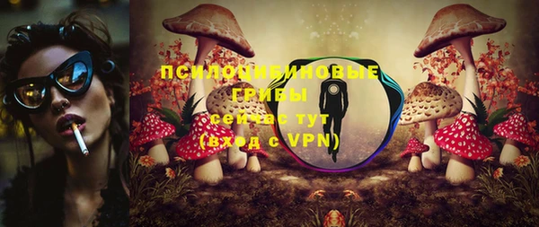 амф Богданович