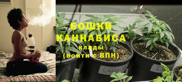 прущая мука Богородицк