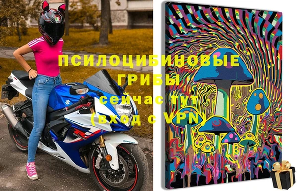 амф Богданович